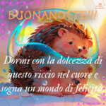 buonanotte con riccio immagini 15