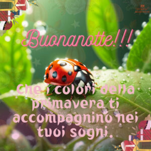 buonanotte primaverile immagini 14