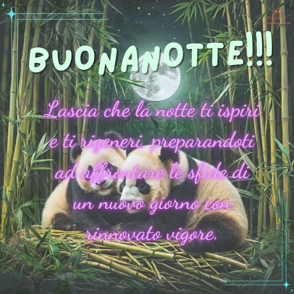 immagini buonanotte 27