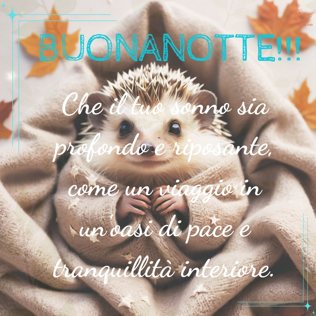 immagini buonanotte 28