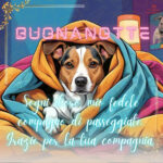 immagini buonanotte con cagnolini 39