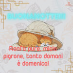 immagini buonanotte gatti nuove 41